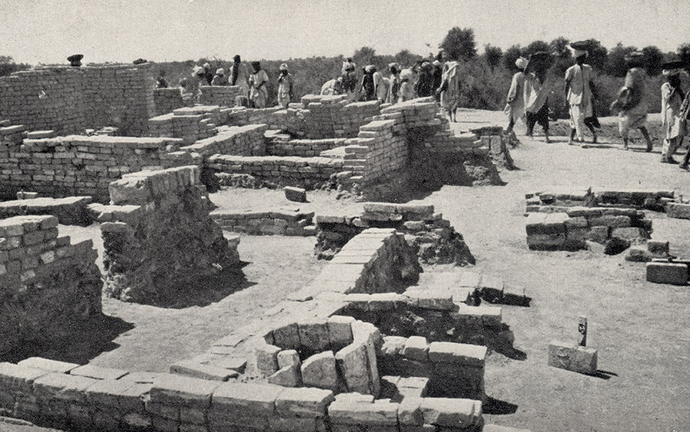 chanhu-daro